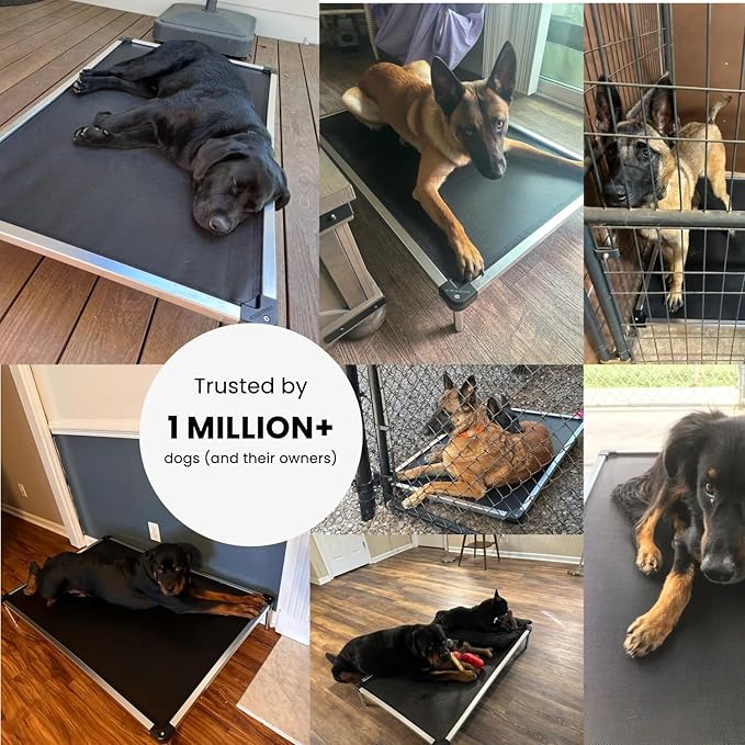 K9 Ballistics Chew Proof Elevated Outdoor Cooling Cot Bed for XX Large Dogs - Virtually Indestructible, Preassembled, Withstands Aggressive Chewers - XXL, Black Mesh