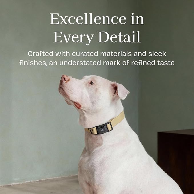 2026 New Edition, Fei & Eve PVC MagEase Dog Collar - Patented Magnetic Buckles | Fur-Safe | 450LB Escape-Proof | Adjustable Fit | Medium (Champagne)