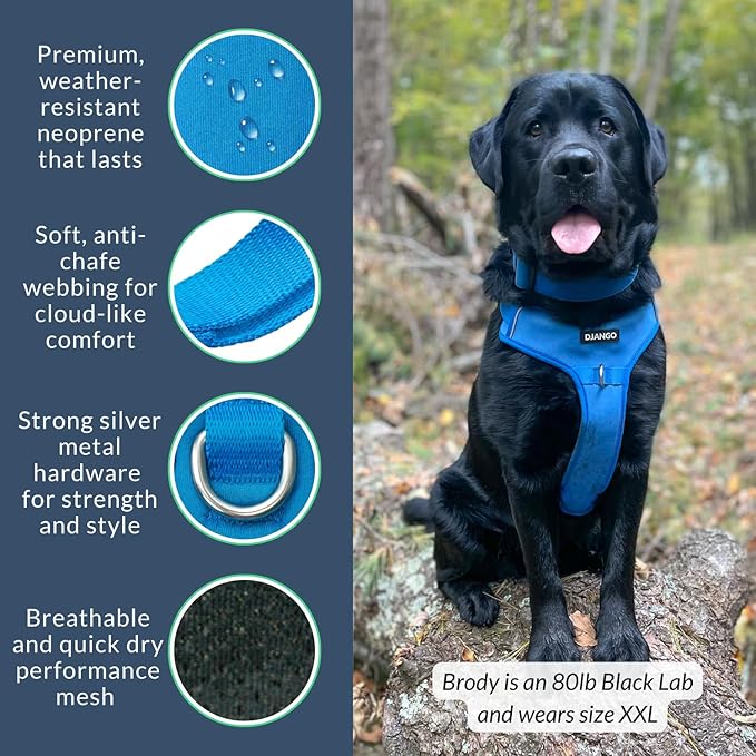 DJANGO Tahoe No Pull Dog Harness – Escape-Proof Dog Harness for Large & XL Dogs with Front & Back Clips for Everyday Use – Adjustable, Padded, Reflective, Secure Fit, Easy On/Off – Alpine Blue, XXL