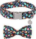 DOGWONG Easter Day Dog Collar-Cute Black Easter Dog Collar with Bow, Cotton Eggs Dog Collars with Metal Buckle for Small Medium Large Dogs