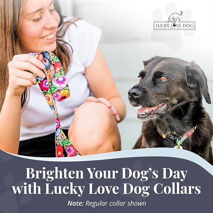 Lucky Love Dog Martingale Dog Collar - Adjustable, No-Slip, Durable, & Soft Webbing Collar for Male and Female Dogs Ideal for Training & Walking - Blackbird, Large