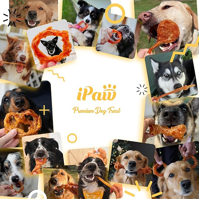 iPaw 10 Pcs Value Pack Turkey Tendon for Dogs, Ingredient Sourced from USA, Hypoallergenic, All Natural Human Grade Puppy Chew, Dog Treats for Signature Series, Rawhide Alternative, Bone (Small)