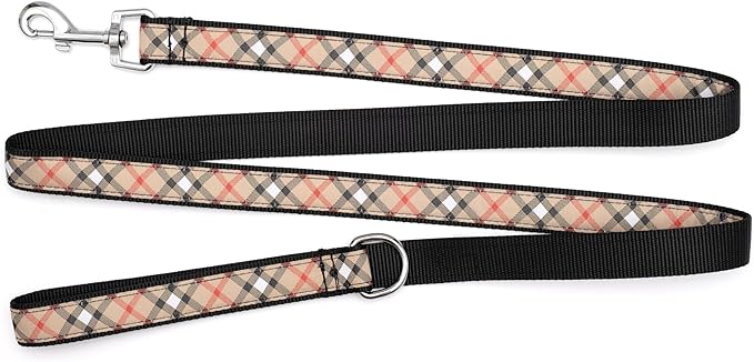 THE WORTHY DOG 5 FT Nylon Dog Leash for Medium to Large Dogs, Metal Quick Clip, Plaid Pattern, Tan, Large