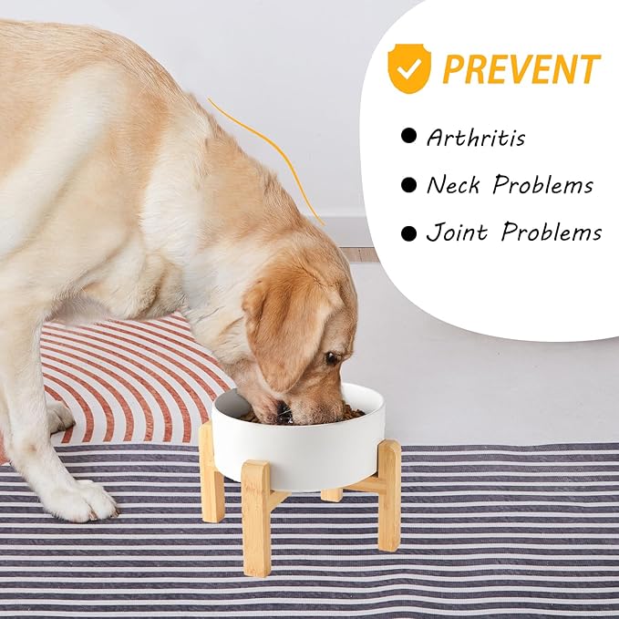 8'' Ceramic Raised Dog Bowl - 70Oz Dog Food & Water Bowl with Elevated Non-Slip Bamboo Stand, Dishwasher & Microwave Safe, Anti Vomiting Heavy Duty Pet Bowl for Medium and Large Dogs, White