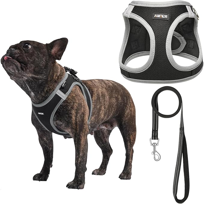 AMTOR Small Dog Harness with Leash Set, No Escape Easy Walk Puppy Harnesses for Training Walking, Step-in Reflective Soft Dogs Vest for XS S Medium Extra-Small Large Sized Dog(S,Black/Grey)