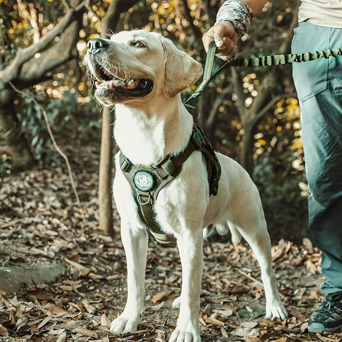 OneTigris Tactical Dog Harness Vest,No-Pull Service Dog Vest with Hook & Loop Panels,Adjustable Dog Vest Harness for Walking Hiking Training(Green,XXS)