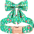 Unique style paws St. Patrick's Day Dog Collar with Tie Rainbow Clover Heart Puppy Collar for Small Medium Large Boys Girls-XS