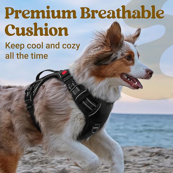 rabbitgoo Dog Harness for Large Dogs, No Pull Pet Harness with Soft Padded Handle, Adjustable Reflective Vest with 3 Buckles, Easy Walking Harness with 2 Leash Clips, Black, L