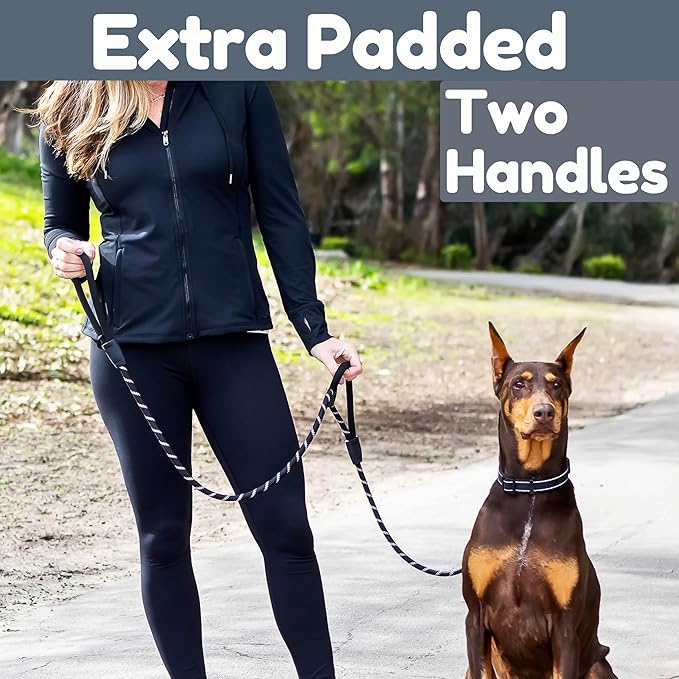 6 Foot Dog Leash, Two Extra Padded Handles, Locking Carabiner Clip, Reflective for Night Visibility, Weatherproof, Heavy Duty Rope Leash, Roam Gear (Black)
