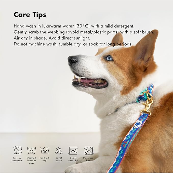 Signature Dog Leash – 63in Durable Double-Sided Jacquard Webbing, Ergonomic 0.8in Grip, Safety-Tested Hardware – Made in Korea (Basic, Ilwolobongdo)