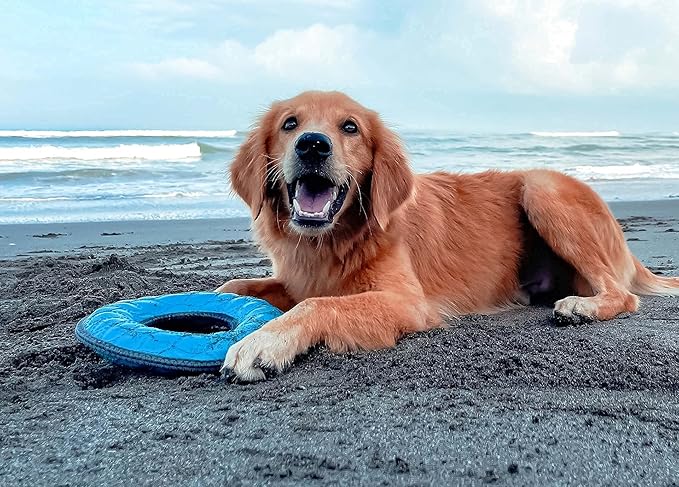 Tuff Pupper SuperChewy Tough Floating Dog Water Toy Strong Natural Rubber | Great Dog Fetch Toy | Pool Swimming Toy for Puppy| Durable Training Toy for Non-Aggressive Chewers