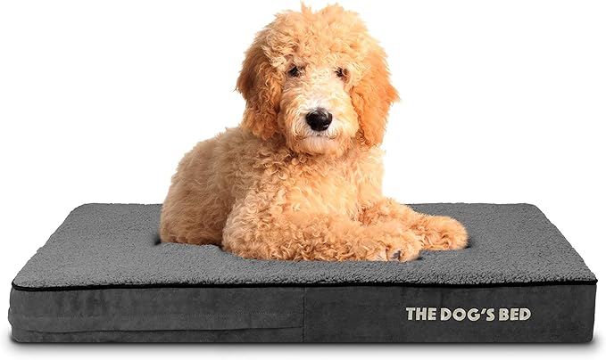 The Dog’s Bed Orthopedic Memory Foam Dog Bed Mattress, Plush Fabric, Grey Plush, Large, 4-Inch