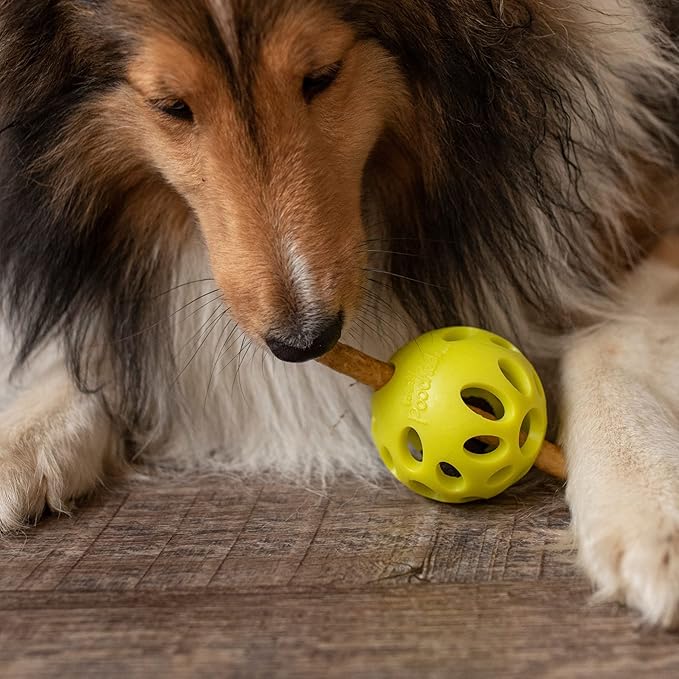 Messy Mutts Totally Pooched Huff'n Puff Ball | 3.1” TPR Puzzle Ball for Dogs | 2-in-1 Interactive Toy and Tooth Cleaner | Green