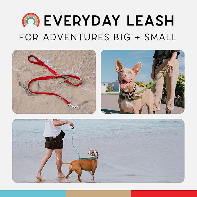 Wildebeest Funston Waterproof Dog Leash - Heavy Duty 4ft Long Leash for Small, Medium and Large Dogs - 1000D Nylon Scratch & Stink-Resistant & Pill-Free - Nylon Wrap Handle 3/4" Wide, 4 ft Length