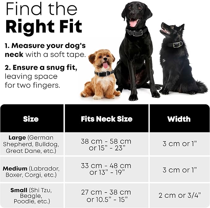 Regal Dog Products Medium Black Waterproof Dog Collars with Custom Engraved Name Plate | Vinyl Coated, Anti, Easy to Clean Personalized Biothane Dog Collar - Other Sizes for Small & Large Dogs