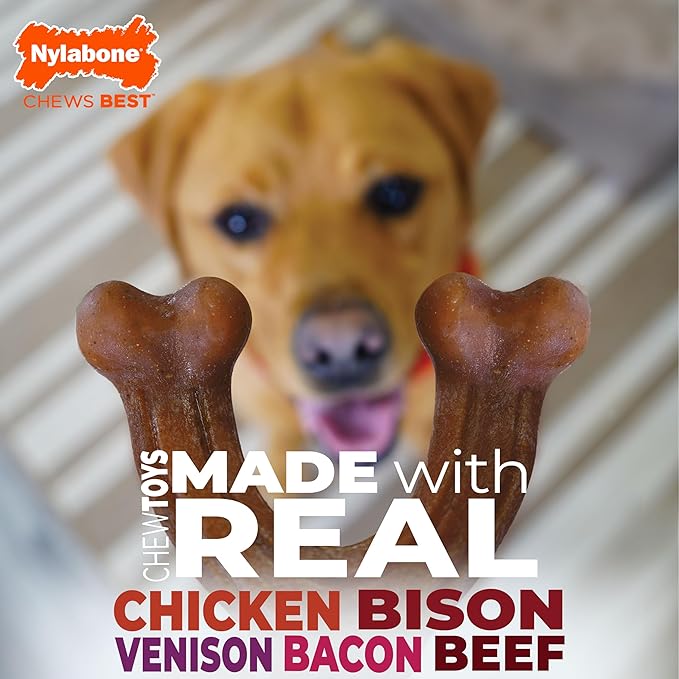 Nylabone Original Bone Strong Chew Toy for Dogs Made with Real Chicken, Durable Dog Chew Bones for Aggressive Chewers, Long-Lasting Flavor Keeps Dogs Busy, Large Dog Toys - Up to 50 lbs, 1 Count