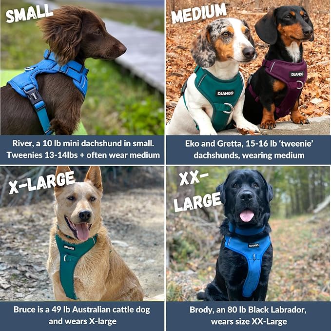 DJANGO Tahoe No Pull Dog Harness – Escape-Proof Dog Harness for Small & Medium with Front & Back Clips for Everyday Use – Adjustable, Padded, Reflective, Secure, Easy On/Off – Raspberry Purple, Medium