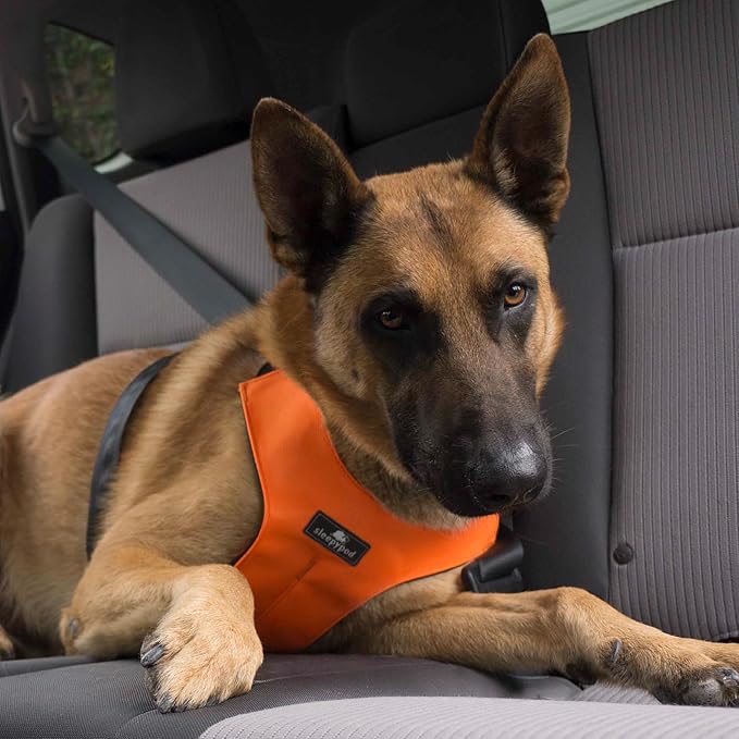 Clickit Sport Plus - Crash-Tested and Safety Certified Car Seat Belt Harness for Dogs (Extra Large, Orange Dream)