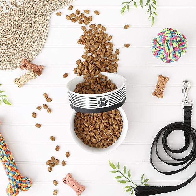 Bone Dry Ceramic Stripe Paw Pet Bowls Collection, Dishwasher Safe, Medium, 6x2, Black 2 Count