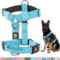 TSPRO Premium Heavy Duty Tactical Dog Harness for Medium/Large Dogs, No Pull, Adjustable, Padded Handle & Quick-Release Buckles, Ideal for Hiking, Walking, Running, Training (Blue M)