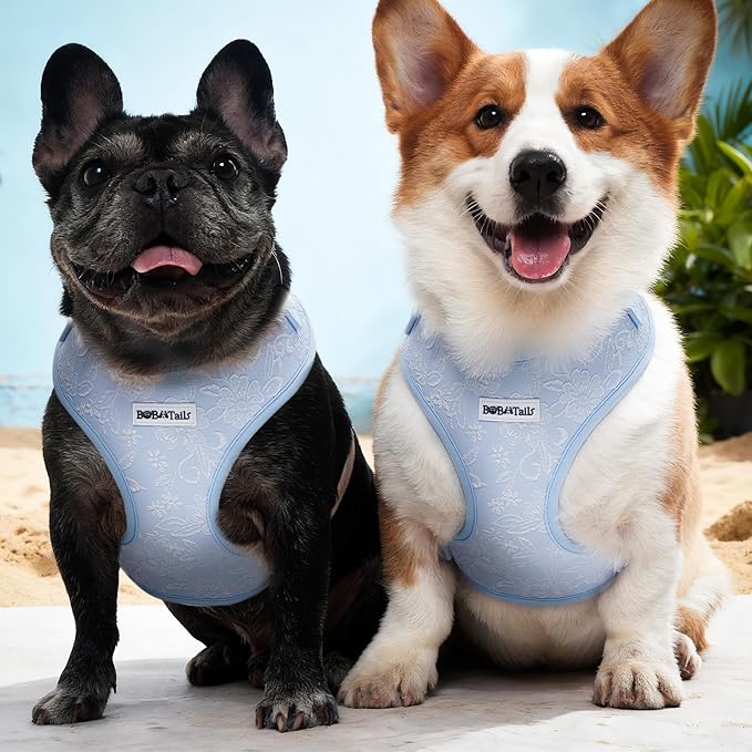 No Pull Dog Vest Harness for Small&Medium Dogs, Side Clip Adjustable Pet Vest, Soft Breathable, Fashion Dog Harnesses for Walking, Running, Shopping (Light Blue,M)