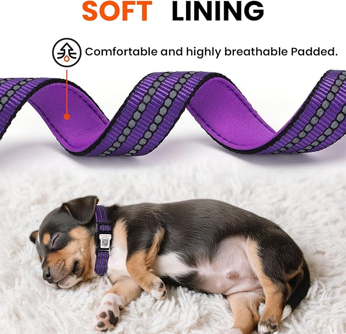 Reflective Dog Collar with QR Code Tag, Personalized Dog Collar, Safety Night Visibility, Anti-Loss Function (Purple, Large)