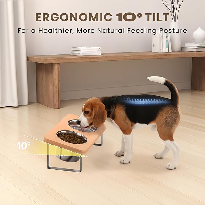 4.7" Tall Elevated Dog Bowls - Ergonomic Stainless Steel Dog Bowls with 10° Tilt in Bamboo Wood Stand for Puppies, Small, and Short-Legged Breed