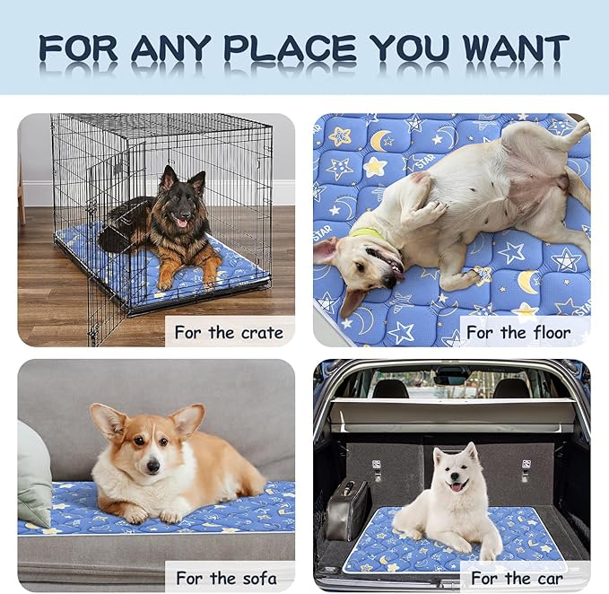 Bubble bear Dog Crate Mat - Ultra Soft, Washable & Anti-Slip Kennel Pad for Small/Medium/Large Dogs, Dark-Hued to Hide Stains (42"x28")
