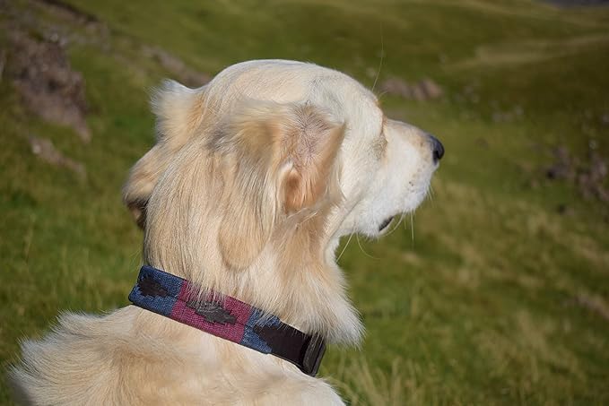 Gaucho Goods Soft Leather Dog Collar - Napa Valley (S)