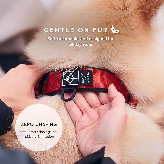 MADE TO ROAM Comfort Collar - Adjustable Nylon Dog Collar with Soft Comfortable Padding, Light Aviation Aluminum Metal Buckle for Small, Medium and Large Dogs (Alaska Daybreak, Size 3)