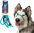 The Sidekick, Reg 3/8" Colors: Turquoise