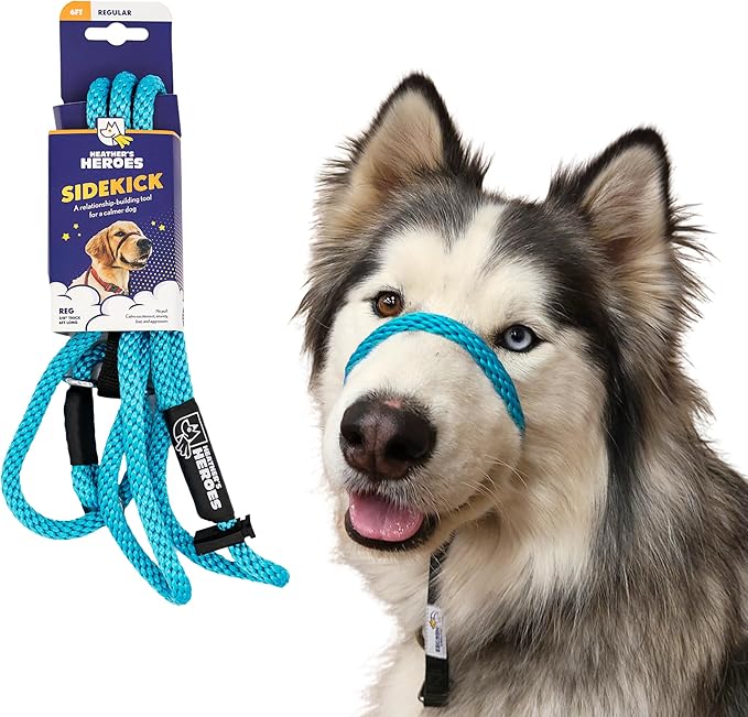 The Sidekick, Reg 3/8" Colors: Turquoise
