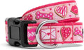 THE WORTHY DOG Collar for Small Dogs, Adjusts 6-12 inches, Durable Nylon Webbing, Quick Release Buckle, Love & Kisses Pattern, Pink, X-Small