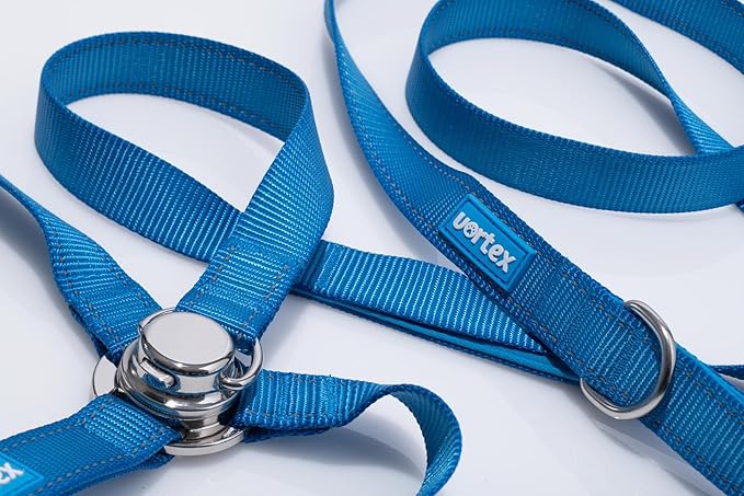 Dog Harness and Leash Combo Set, Magnetic Connection, Ergonomic Design (Bahama Blue, Medium)