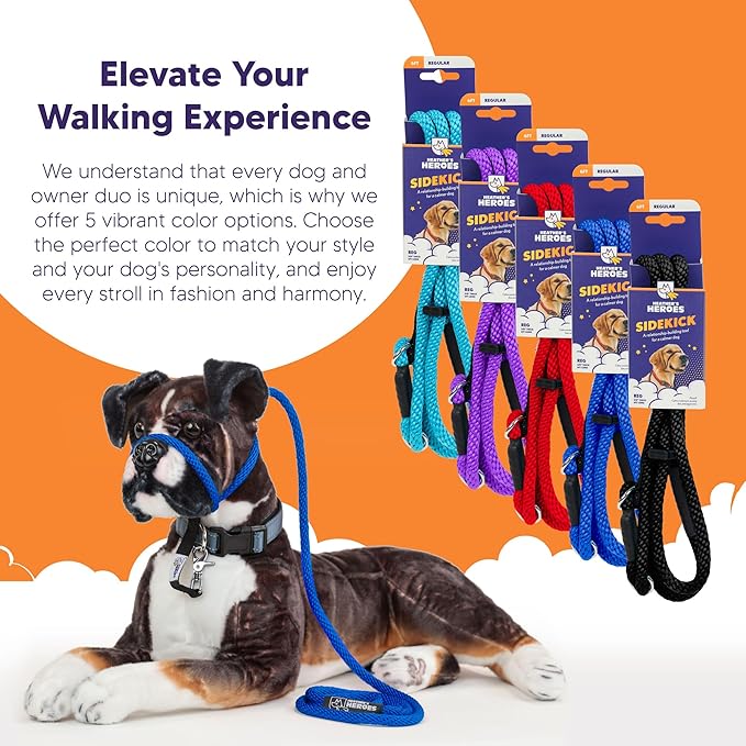 The Sidekick® – Heather's Heroes