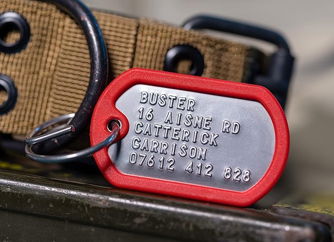 Dog Tags for Dogs, Custom Dog Collar ID Tag Personalized for Pets - Super Tough, Quiet Embossed Military Style Stainless Steel Dog Name tag (Red)