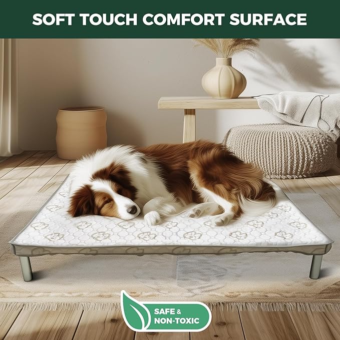 FXW TitanNest Chew-Proof Elevated Dog Bed, Raised Cot for Indoor/Outdoor/Camping Use, Durable & Waterproof Cooling Pet Bed with Exclusive Cover for Extra-Small Dogs, 29.0" L x 18.0" W x 4.5" H, Black