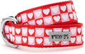 THE WORTHY DOG Adjustable Holiday Dog Collar for Large Dogs, Durable Nylon Webbing, Quick Release Buckle, Colorblock Hearts Valentine's Day Pattern, Pink & Red, Large