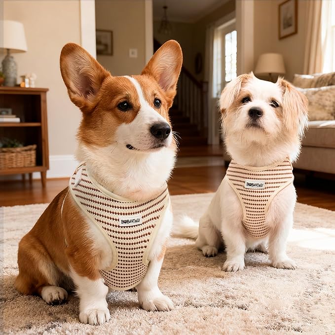 No Pull Dog Vest Harness for Small&Medium Dogs, Side Clip Adjustable Pet Vest, Soft Breathable, Fashion Dog Harnesses for Walking, Running, Shopping (Beige, XXS)