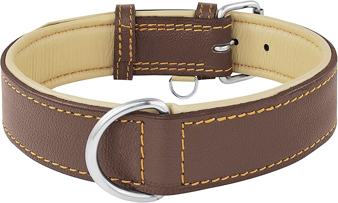 Riparo Dog Collars for Medium Dogs, Genuine Leather Dog Collar, Medium Dog Collar (M: 1" Wide for 13.5”-17.5” Neck, Brown)