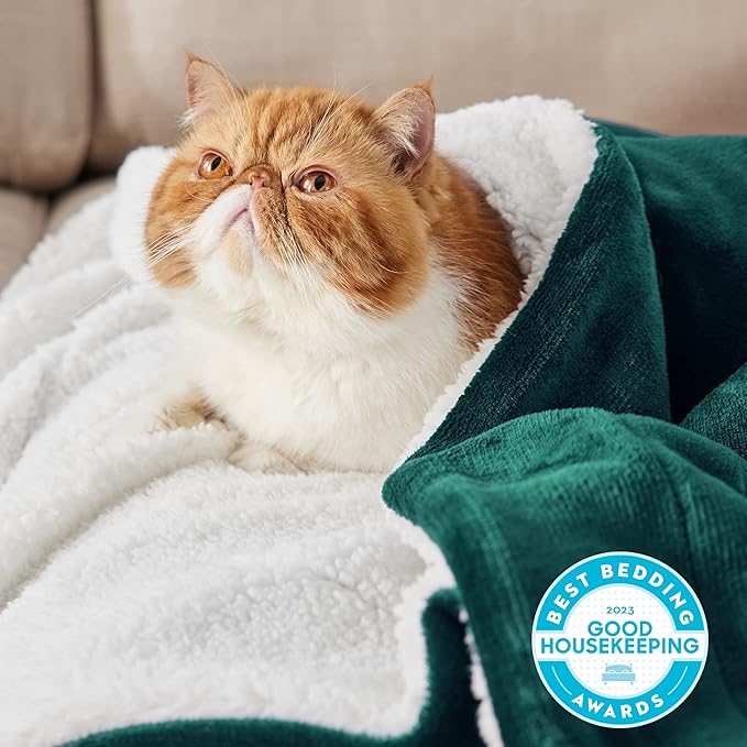 Bedsure GentleSoft Sherpa Fleece Blankets King Size for Bed, Non-Heated, Thick and Warm Throw for Women and Men, Soft Fuzzy Plush King Blanket for Winter, Forest Green, 108x90 Inches