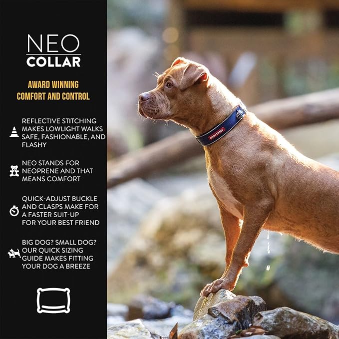 EzyDog Neo Dog Collar - Waterproof & Reflective Dog Collar with Soft Padded Neoprene for Comfort & Durable Nylon – Features Quick Release Buckle and Built-in ID Clip (Large, Pink)