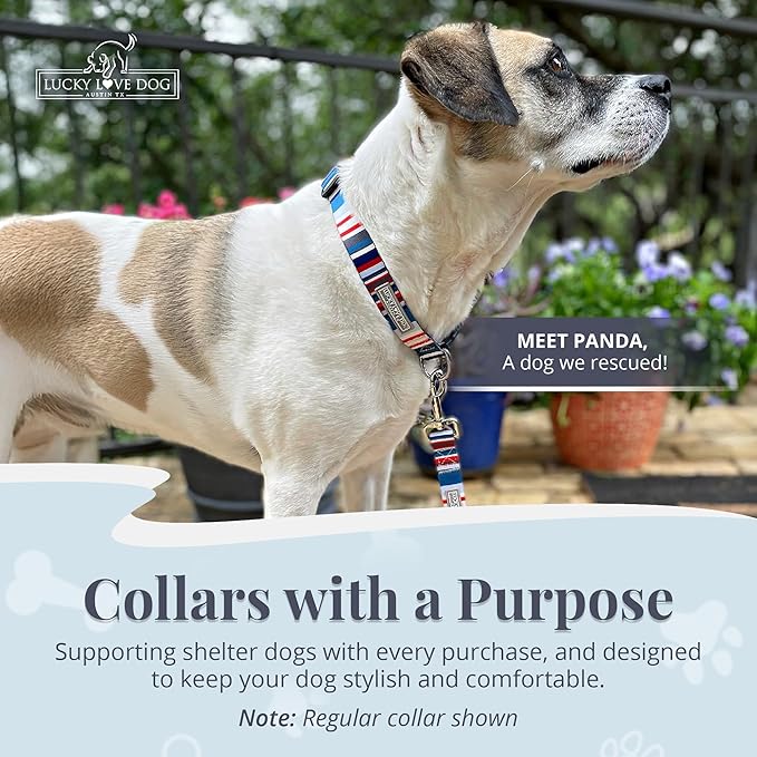 Lucky Love Dog - Adjustable Dog Collar with Easy Click Buckle for Medium, Durable, & Comfortable for Male & Female Dogs, Pet Collar for Puppies & Adult Dogs - Linus, Medium