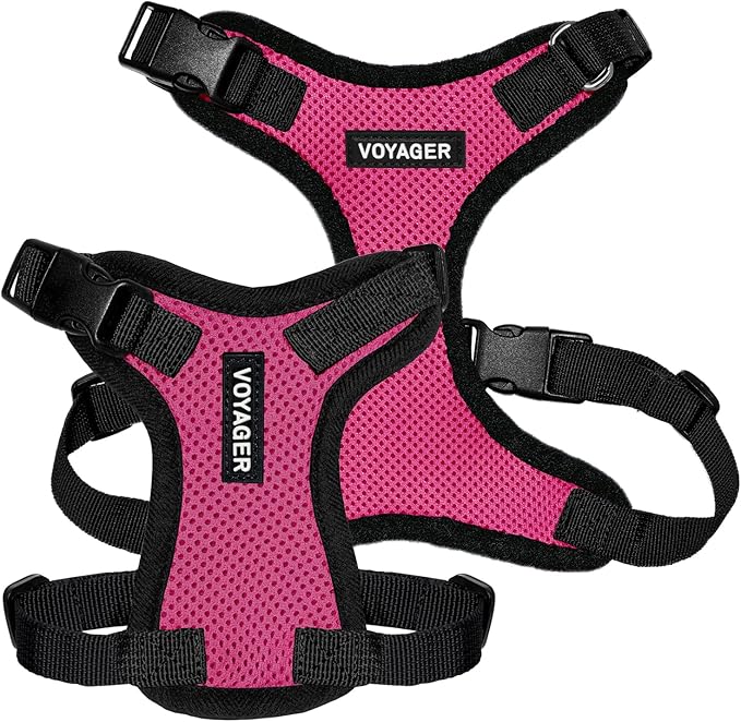Voyager Step-in Pet Harness - All Weather Mesh, Adjustable Step in Harness for Cats and Dogs by Best Pet Supplies - Fuchsia/Black Trim, M