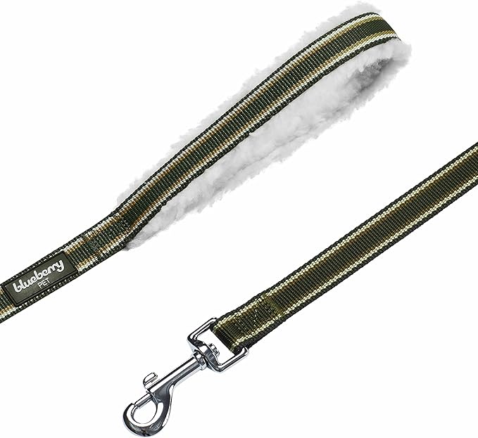 Blueberry Pet Multi-Colored Stripe Fleece Padded Dog Leash with Soft & Comfortable Handle, 4 ft x 1", Olive Green, Large, Leashes for Dogs