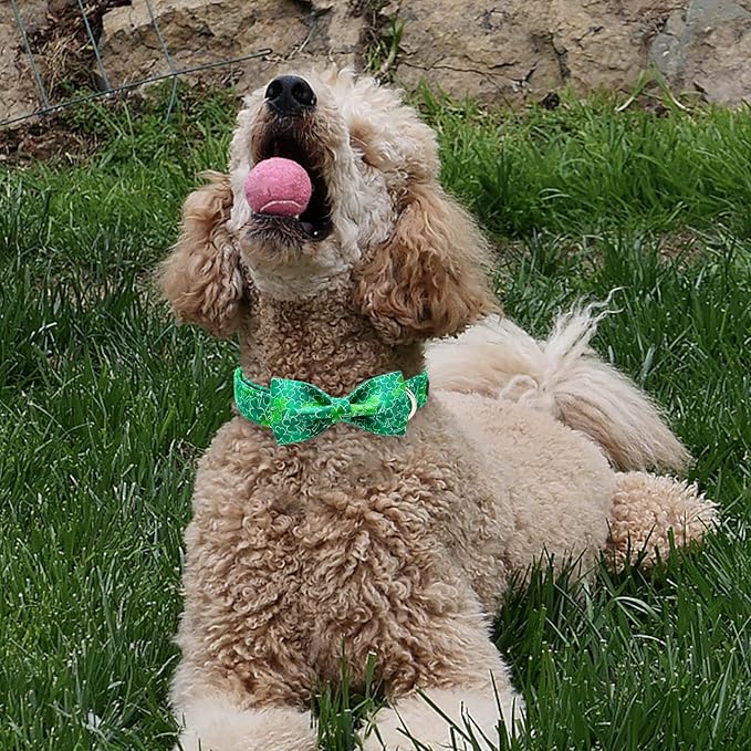 Unique style paws St. Patrick's Day Dog Collar with Bow Green Clover Puppy Collar for Small Medium Large Boys Girls Dogs-S