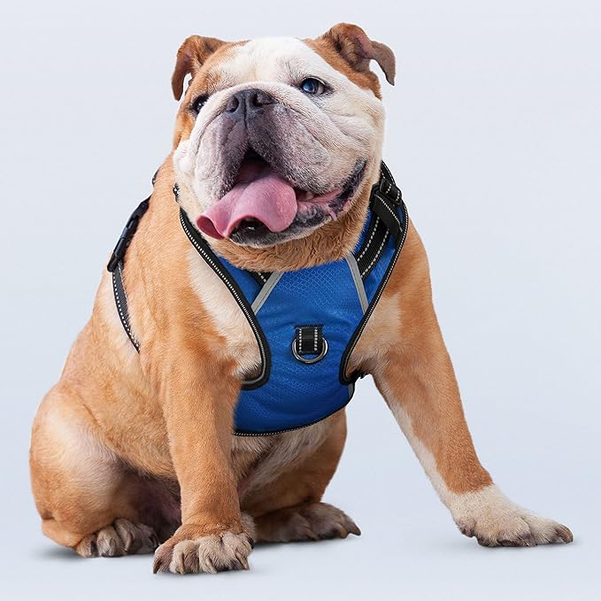 No Pull Dog Harness, Reflective Walking Dog Harness with Easy Control Handle and Front & Back Clips,Adjustable Breathable Soft Padded Dog Vest Harness for Large Medium Small Dogs,Blue,L
