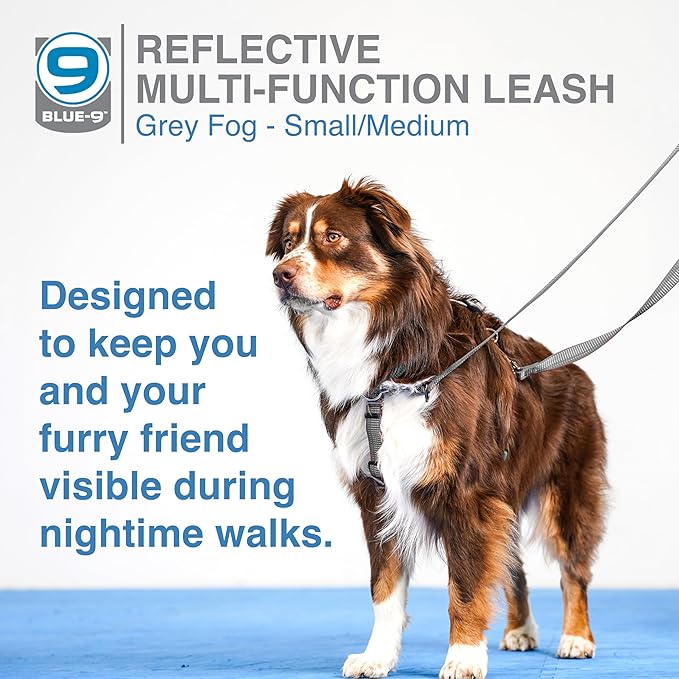Blue-9 Reflective Multi-Function Dog Leash, Double Attachment Adjustable Lead for Obedience Training and Running, 6 Feet, Made in The USA, Small/Medium, Grey