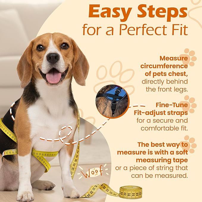 Bark Appeal Aqua Blue No-Pull Dog Harness for Small to Medium Sized Pets – Adjustable, Reflective Vest with 3 Leash Clips for Added Control, Easy Walks & Training – Medium