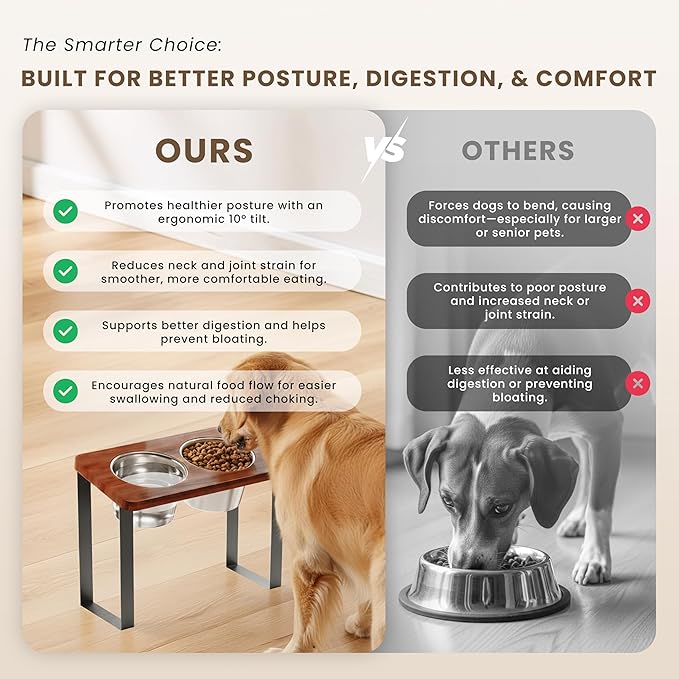 8.9" Tall Elevated Dog Bowls - Ergonomic Stainless Steel Dog Bowls with 10° Tilt in Acacia Wood Stand for Medium Breed